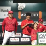 レス6番のリンク先のサムネイル画像
