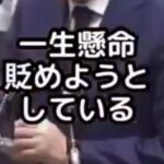 レス5番の画像1