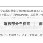 レス64番の画像1