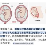 レス12番の画像1