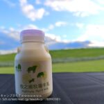 レス41番の画像1