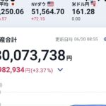 レス12番のリンク先のサムネイル画像