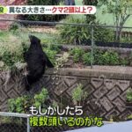 レス3番のリンク先のサムネイル画像