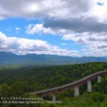 レス37番の画像2