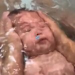 レス12番の画像3