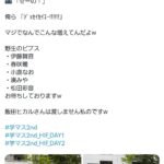 レス52番の画像1
