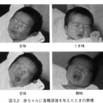 レス25番の画像1