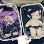 レス13番の画像2