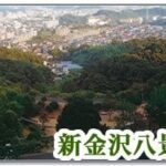 レス198番の画像1
