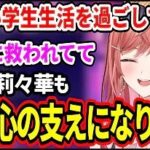 レス17番の画像3