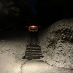 レス127番の画像1