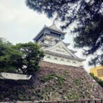 レス17番の画像1