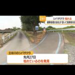 レス1番の画像4
