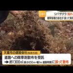 レス1番の画像5