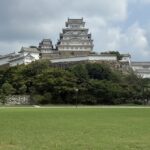 レス14番の画像1