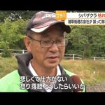 レス1番の画像7
