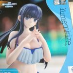 レス35番の画像1