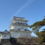 レス9番の画像1