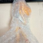 レス16番の画像1