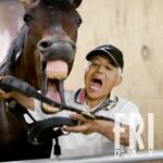 レス5番のリンク先のサムネイル画像