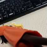 レス13番の画像2