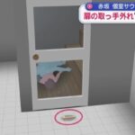 レス19番の画像1