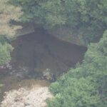 レス2番のリンク先のサムネイル画像