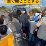 レス10番のリンク先のサムネイル画像