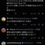 レス54番の画像1
