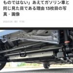 レス14番の画像1