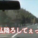 レス9番のリンク先のサムネイル画像