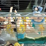 レス32番の画像2