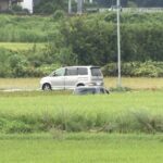 レス2番のリンク先のサムネイル画像