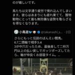 レス1番の画像3
