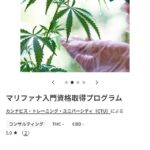レス14番の画像1