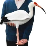 レス1番の画像3
