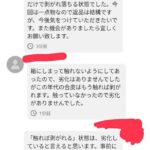レス33番の画像1