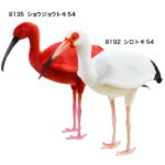 レス1番の画像4
