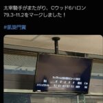 レス28番の画像1