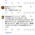 レス12番の画像2