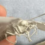 レス20番の画像1