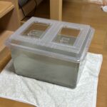 レス15番のリンク先のサムネイル画像