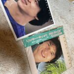 レス13番の画像1