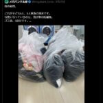 レス1番の画像6