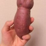 レス47番の画像1