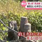 レス1番の画像1