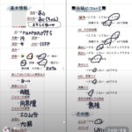 レス22番の画像1