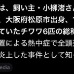 レス1番の画像1
