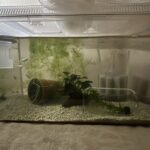 レス5番のリンク先のサムネイル画像