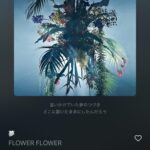 レス8番の画像1
